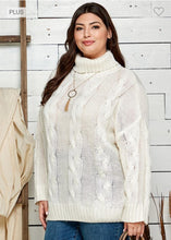 Load image into Gallery viewer, Turtle Neck Pullover Sweater