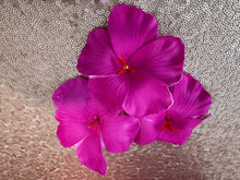 Load image into Gallery viewer, Flor Hairclip