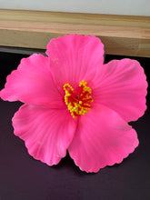 Load image into Gallery viewer, Flor Hairclip
