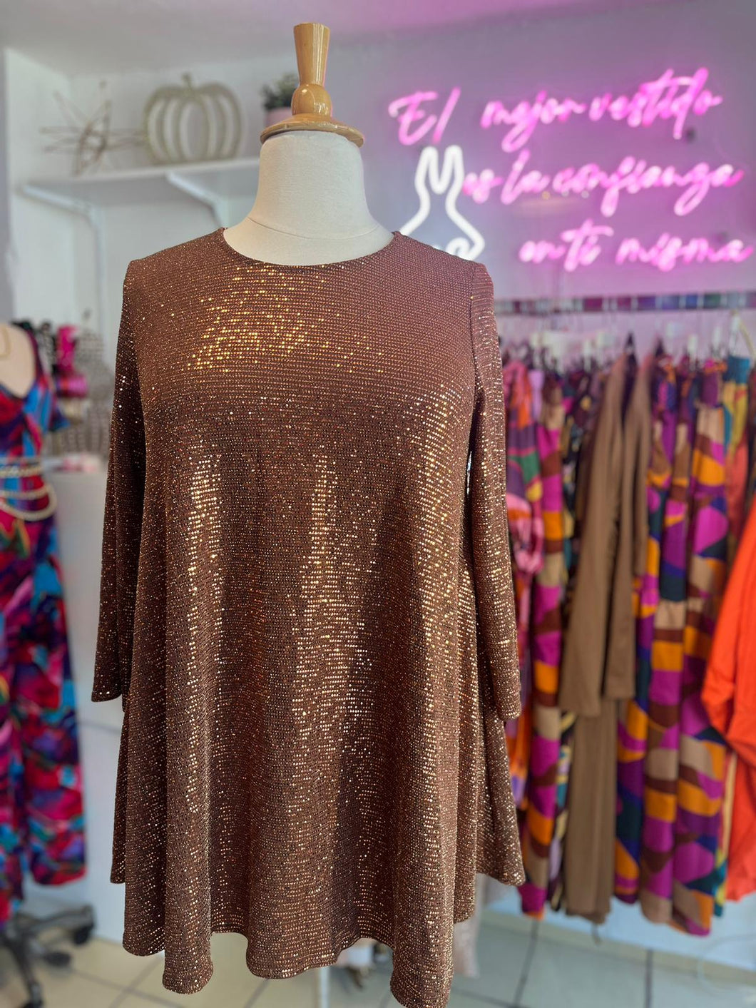 Bronze Shimmer Tunic Top