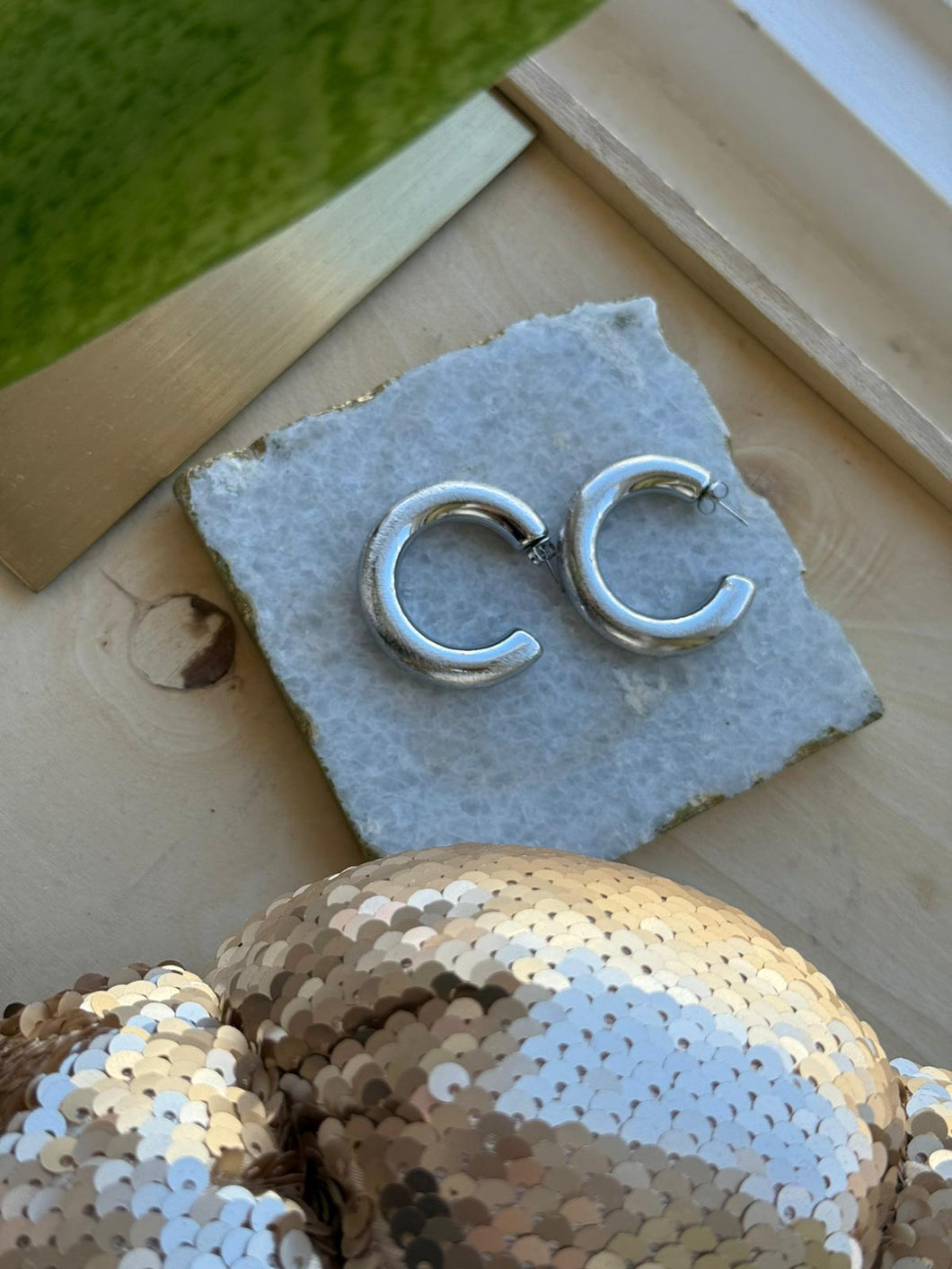 Silver Hoops Earrings